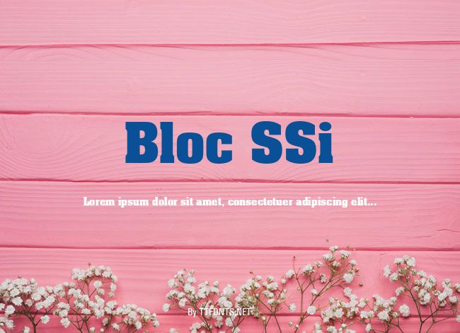 Bloc SSi example